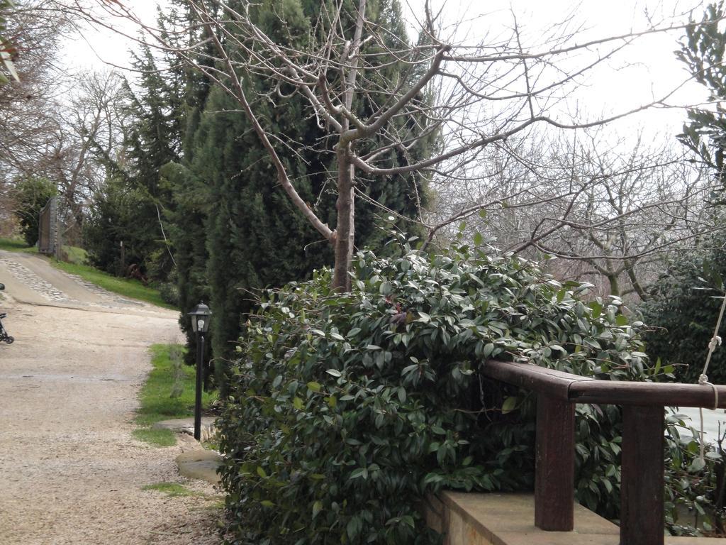 Agriturismo Le Valli Acuto Ngoại thất bức ảnh